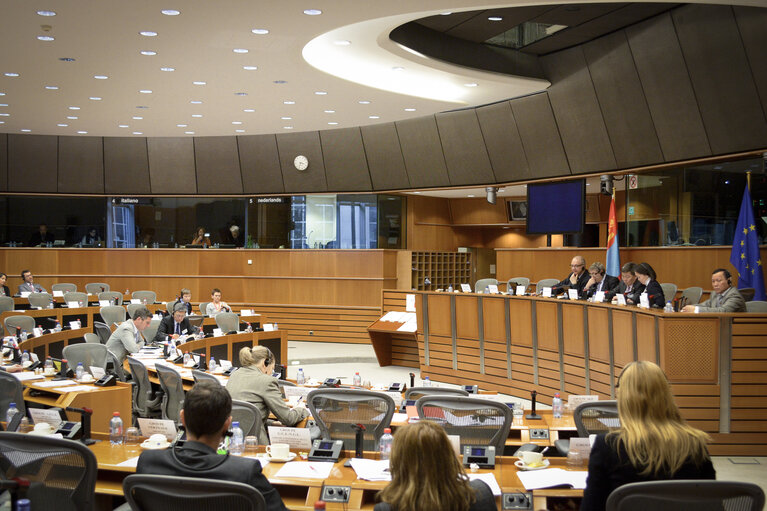Nuotrauka 4: EU-Republic of Mongolia 9th Interparliamentary Meeting