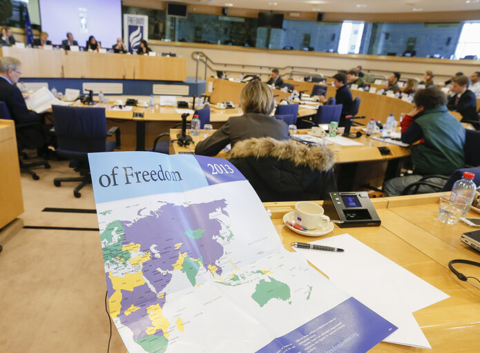 Fotografi 1: European launch of the 2013 Freedom in the World report