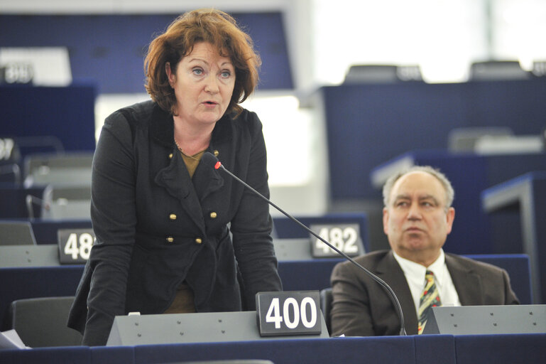 Zdjęcie 32: Plenary session in Strasbourg - Week 6 2013 - Dialogue for a peaceful solution of the Kurdish issue in Turkey