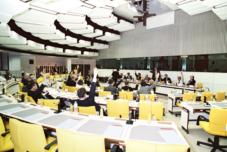 Fotogrāfija 2: EDG Meeting at the EP.