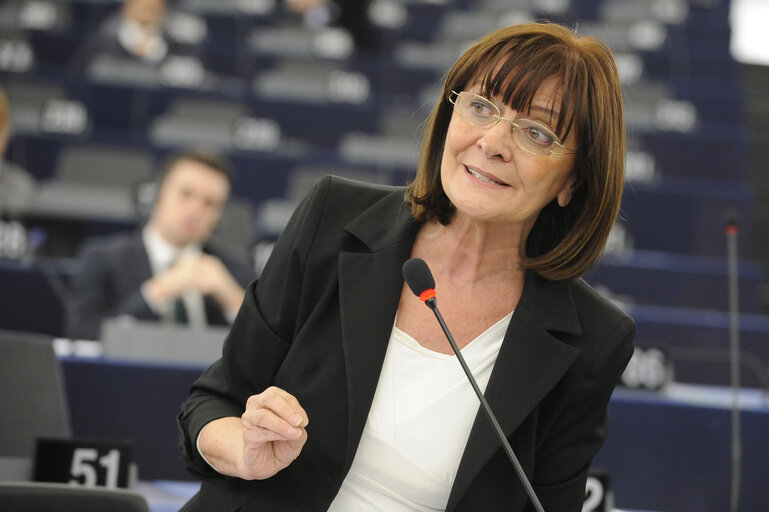 Fotografie 9: Plenary session week 3 2013 -programme of activities of the Irish Presidency