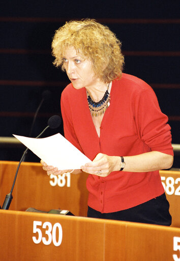 Fotogrāfija 8: Plenary Session in Brussels