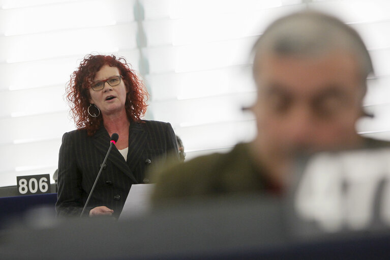 Fotografija 1: Plenary session week 03 2013 - Cohesion policy / European Solidarity Fund