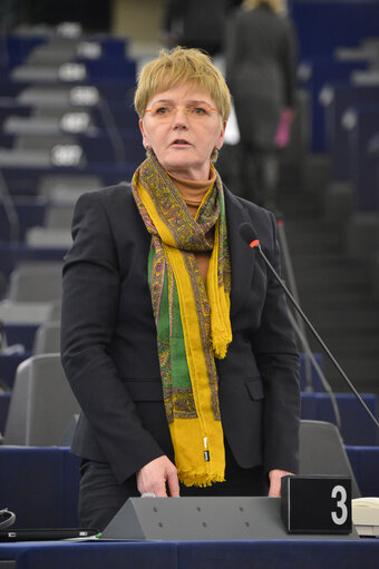 Fotó 20: Plenary Session week 03 2013-Debate on the future of the European Union - Statement by Mr Werner Faymann, Federal Chancellor of Austria