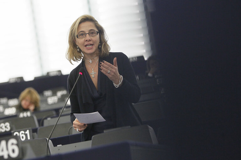 Plenary session week 03 2013 - Cohesion policy / European Solidarity Fund