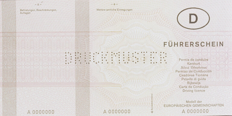 Photo 6 : Proposal for European driving licence