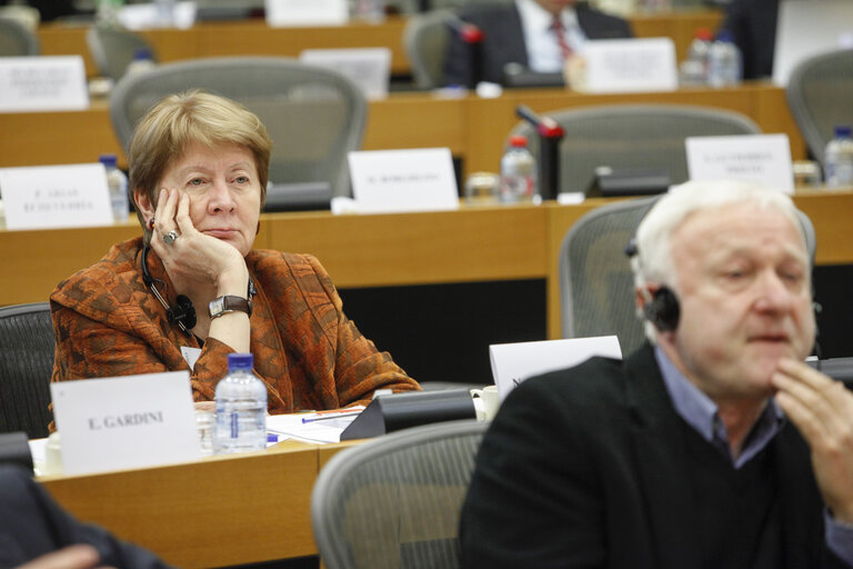 Fotografija 6: Delegation to the EU-Russia parliamentary cooperation Committee