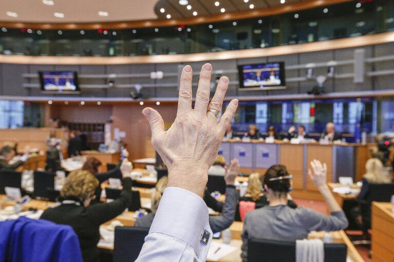 Foto 11: ITRE vote on resolution on nuclear stress tests - Risk and safety assessments (stress tests) of nuclear power plants in the EU