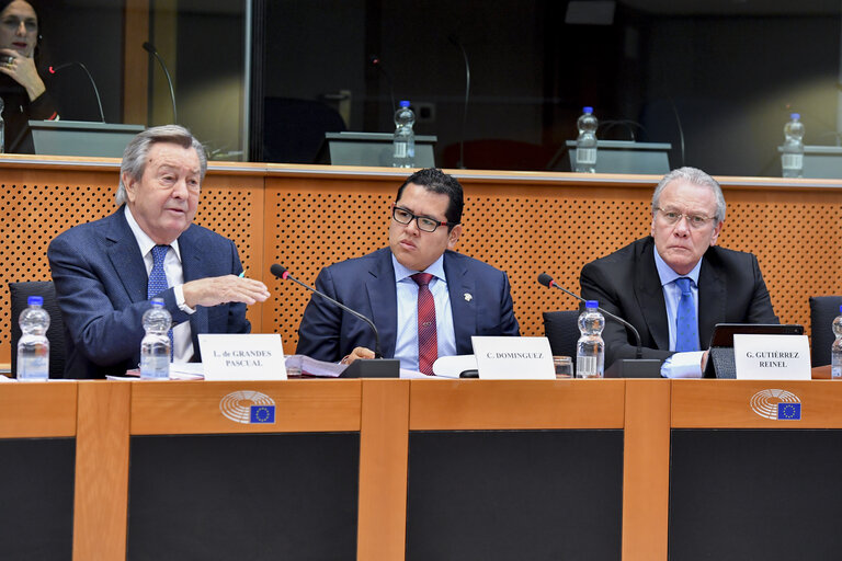 Fotografia 17: Meeting of the EP delegation for relations with Latin America with a delegation of the Congress of Peru