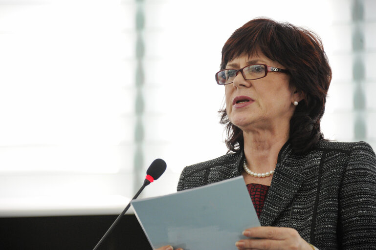 Foto 12: Plenary Session week 6 2013 - Improving access to finance for SMEs