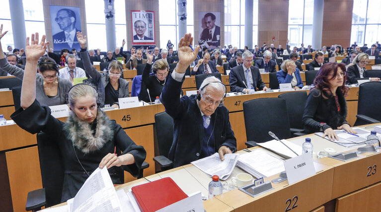 Foto 15: ITRE vote on resolution on nuclear stress tests - Risk and safety assessments (stress tests) of nuclear power plants in the EU