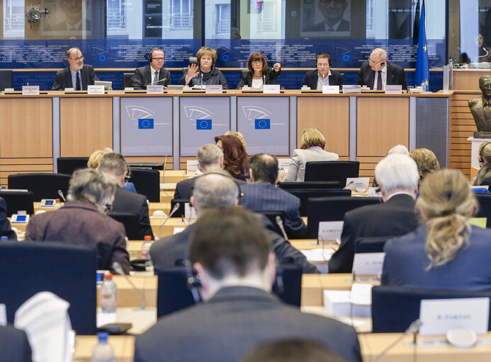 Foto 8: ITRE vote on resolution on nuclear stress tests - Risk and safety assessments (stress tests) of nuclear power plants in the EU