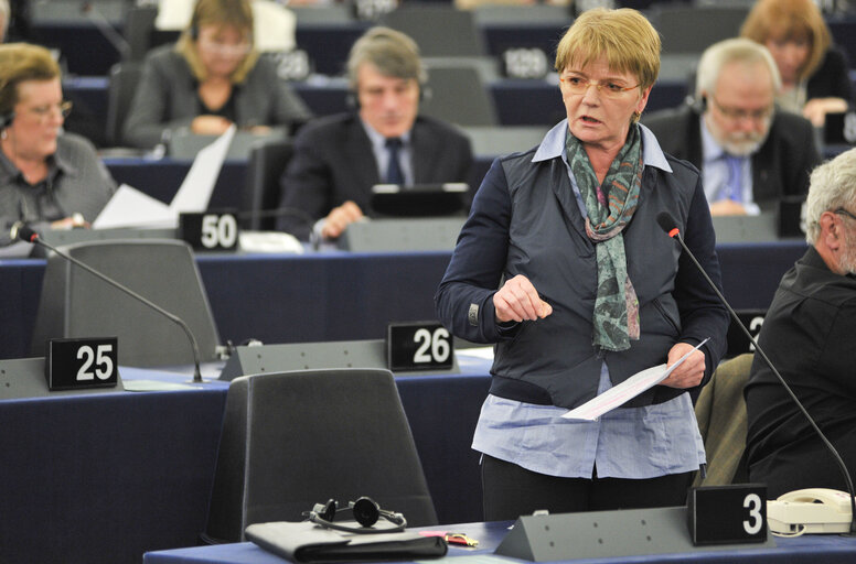 Fotografia 6: Plenary Session in Strasbourg - Week 6-2013: Statement by President of the French Republic