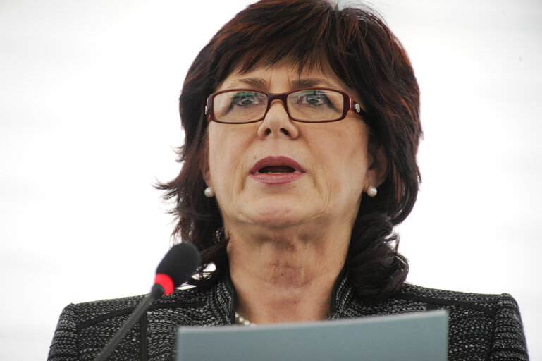 Foto 13: Plenary Session week 6 2013 - Improving access to finance for SMEs