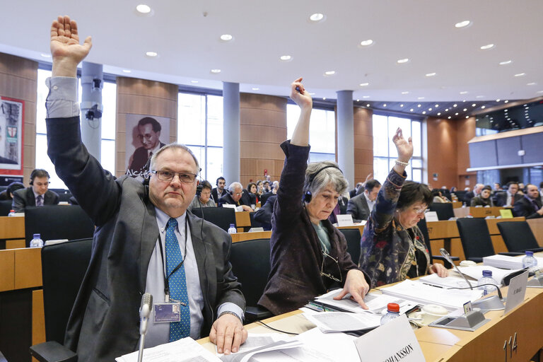 Foto 14: ITRE vote on resolution on nuclear stress tests - Risk and safety assessments (stress tests) of nuclear power plants in the EU