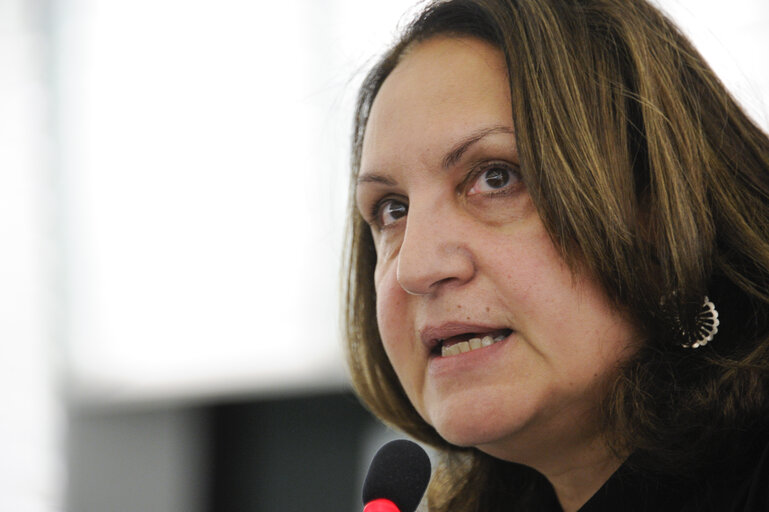 Foto 22: Plenary Session week 6 2013 - Improving access to finance for SMEs