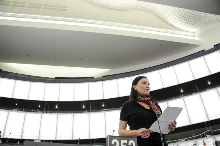 Foto 15: Plenary Session week 6 2013 - Improving access to finance for SMEs