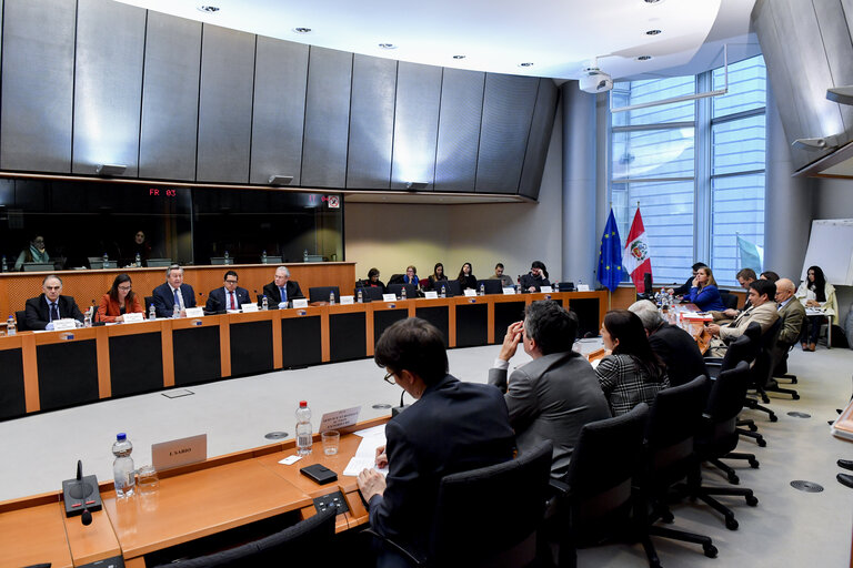 Fotografia 1: Meeting of the EP delegation for relations with Latin America with a delegation of the Congress of Peru