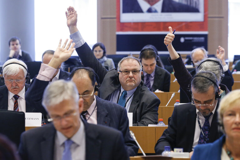 Foto 17: ITRE vote on resolution on nuclear stress tests - Risk and safety assessments (stress tests) of nuclear power plants in the EU