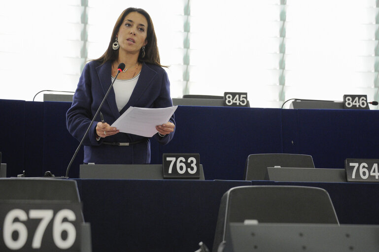 Foto 11: Plenary Session week 6 2013 - Improving access to finance for SMEs