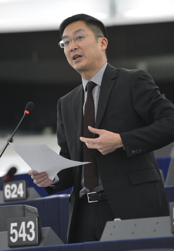 Fotografie 1: Plenary session week 6 2013 in Strasbourg - Joint debate - European Semester