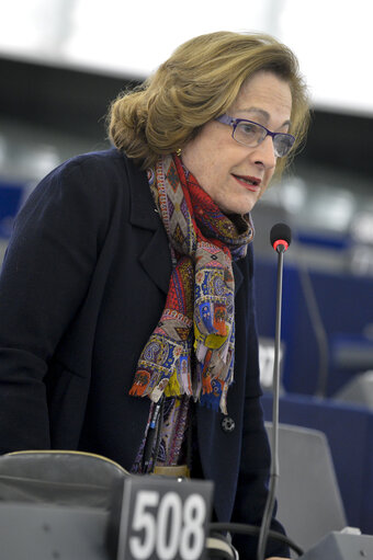 Fotografie 26: Plenary session week 6 2013 in Strasbourg - Preparations for CITES COP 16