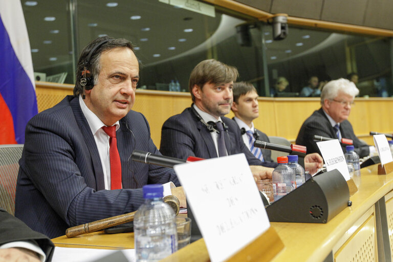 Fotografija 9: Delegation to the EU-Russia parliamentary cooperation Committee