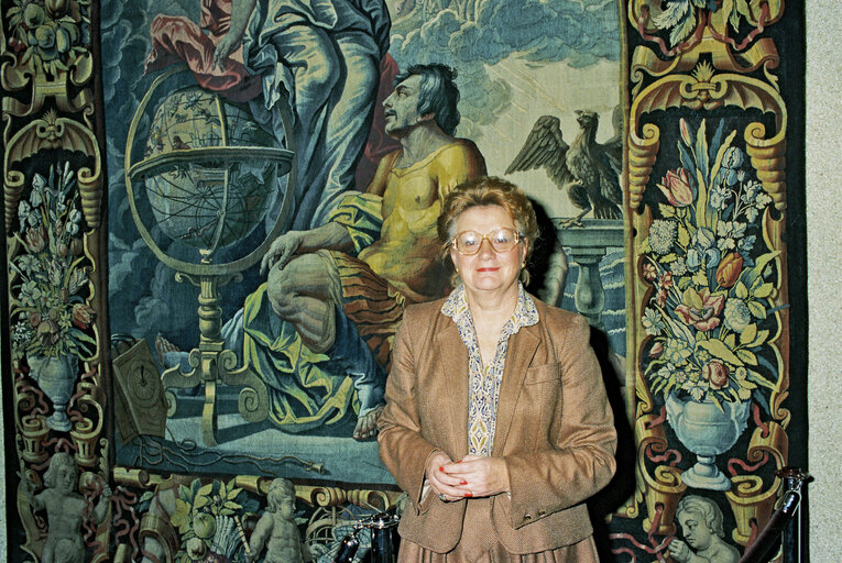 Fotografi 9: Danish Member of the Socialist Group at work