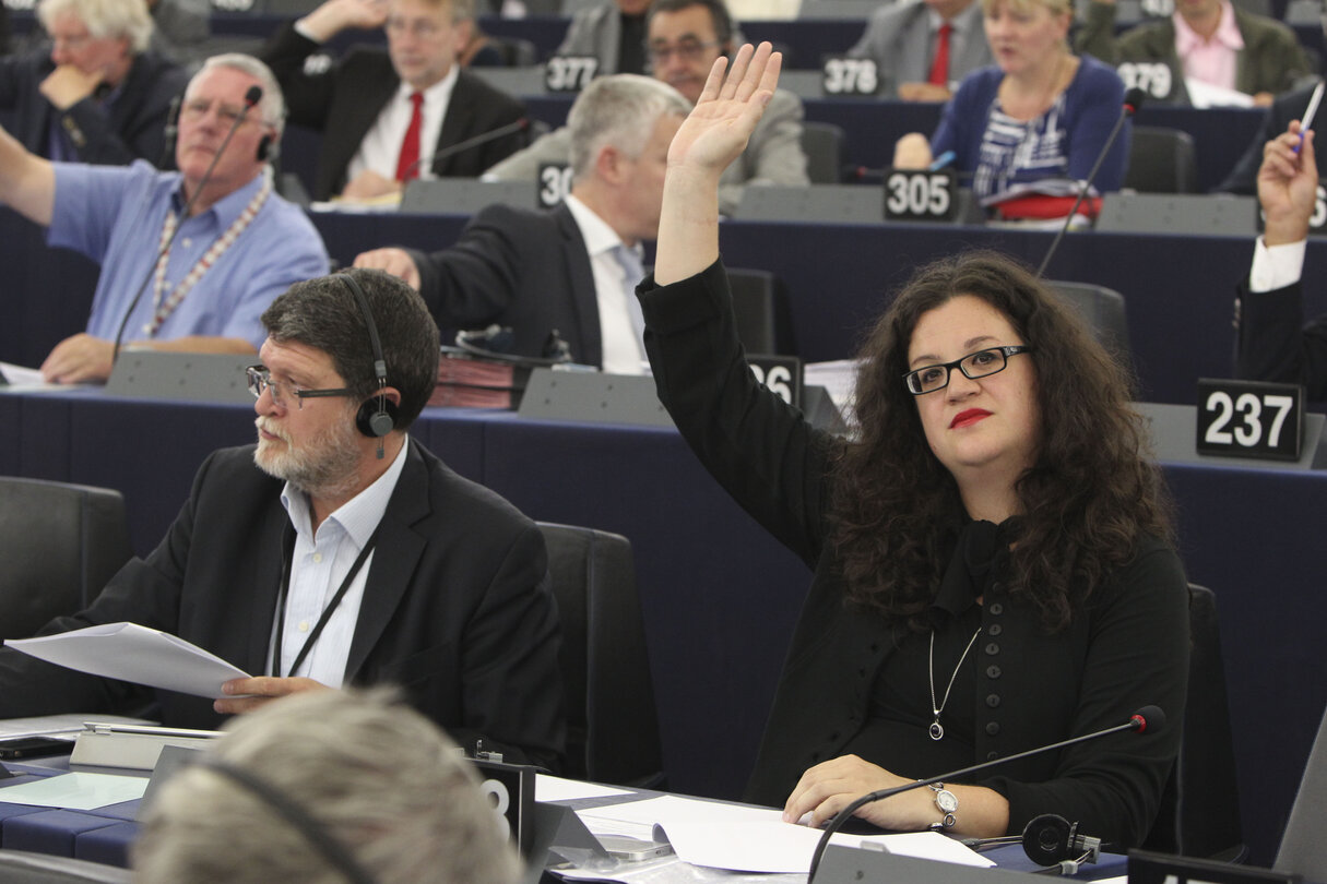 Mojca KLEVA KEKUS in plenary in Strasbourg, week 37 2013