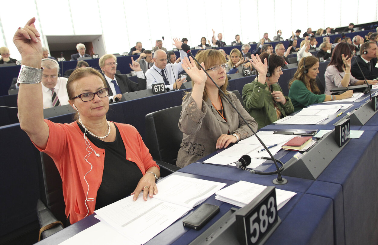 Danuta JAZLOWIECKA in plenary in Strasbourg, week 37 2013