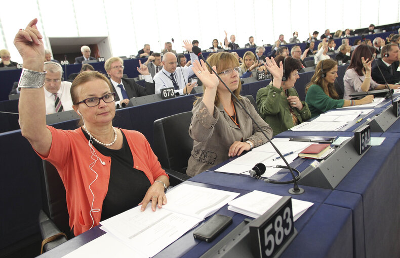 Fotografia 5: Danuta JAZLOWIECKA in plenary in Strasbourg, week 37 2013