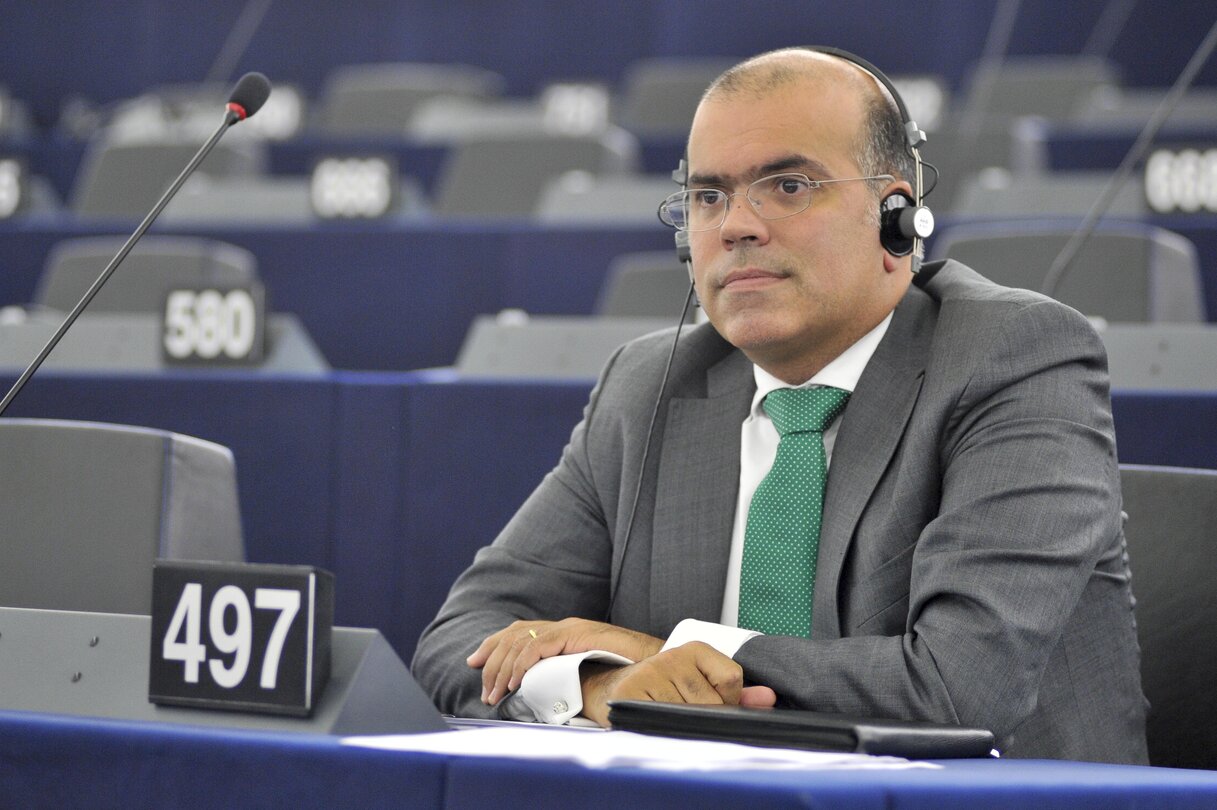 Diogo FEIO in plenary session in Strasbourg week 37 2013