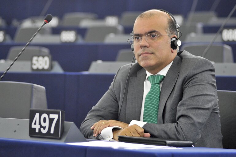 Billede 3: Diogo FEIO in plenary session in Strasbourg week 37 2013