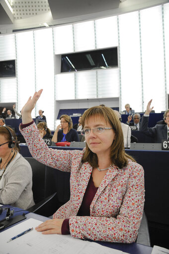 Fotografi 3: Sidonia JEDRZEJEWSKA during Plenary session week 41 2013 in Strasbourg