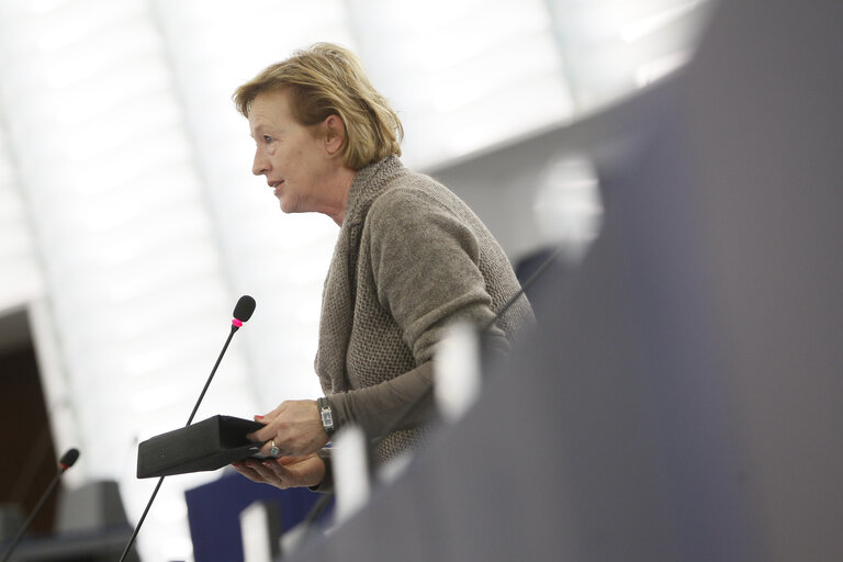 Fotografi 2: Plenary session week 43 2013 in Strasbourg -