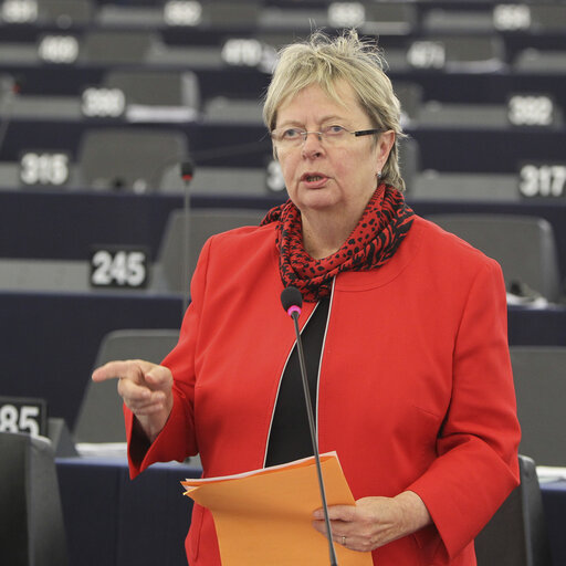 Fotografi 7: Mep during plenary session week 43 2013 in Strasbourg.