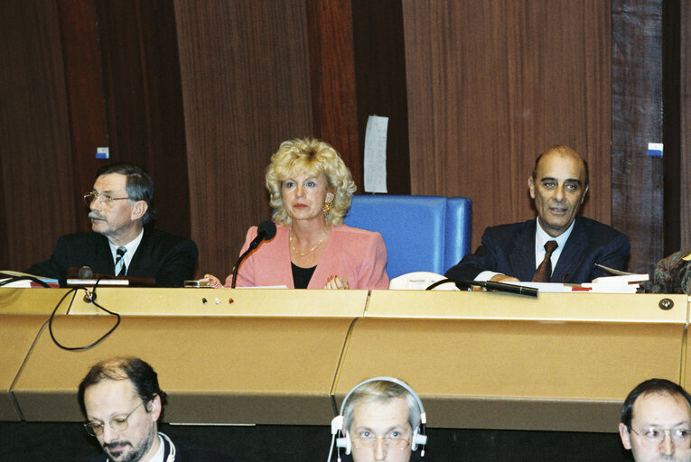 Foto 17: Plenary session in Strasbourg