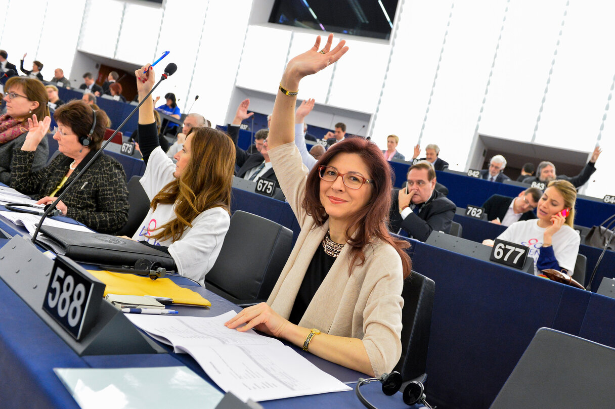 Romana JORDAN in plenary session week 09 2014 in Strasbourg