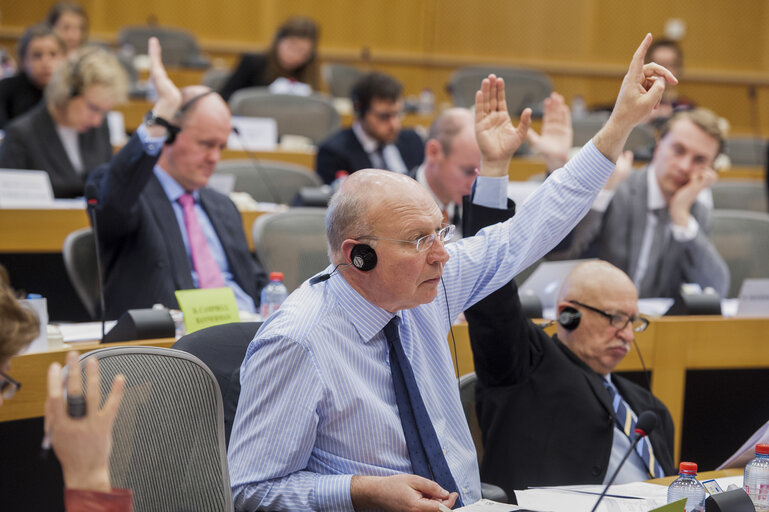 Valokuva 9: Members voting during the AFCO Committee meeting.