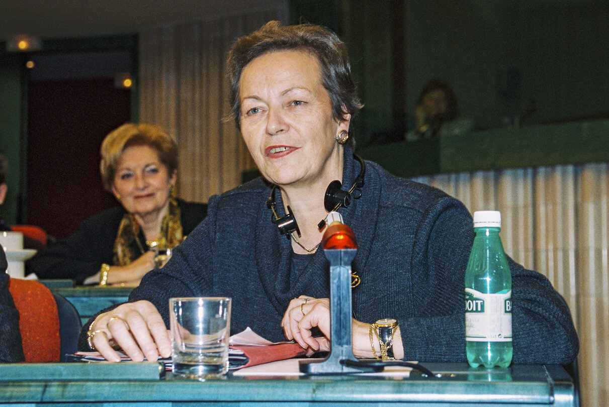 Committee meeting in Strasbourg