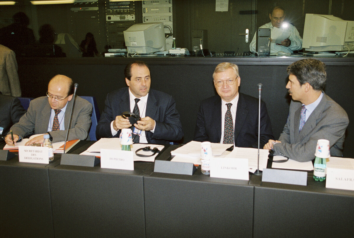 Meeting in the European Parliament in Strasbourg