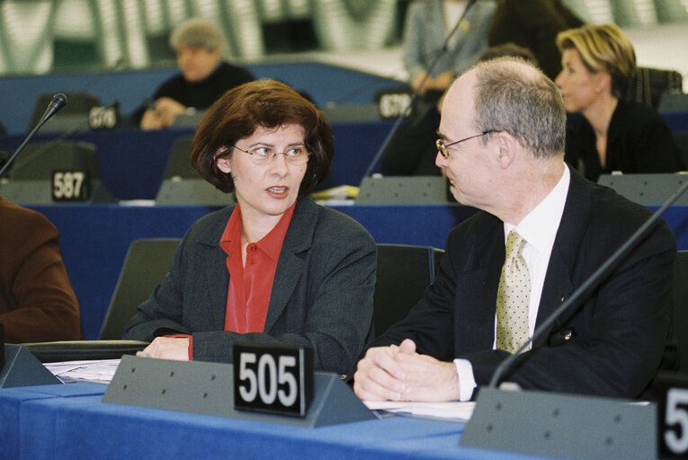 Fotografia 1: MEP Renate SOMMER in plenary session in Strasbourg