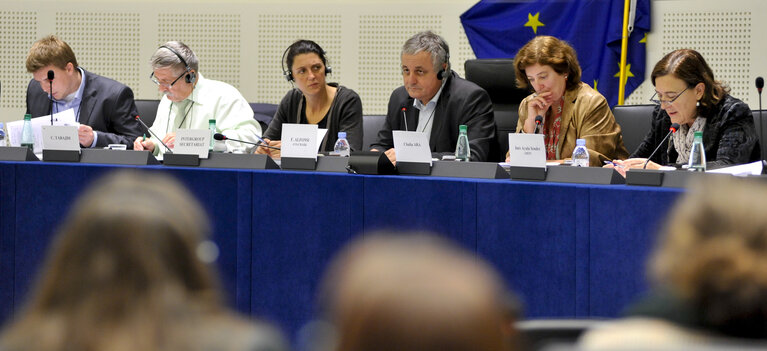 Photo 3 : Intergroup National minorities and regional languages