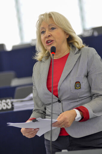 Billede 2: Mep during plenary session week 43 2013 in Strasbourg