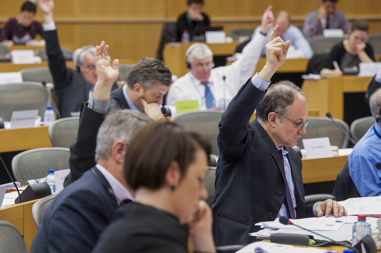 Fotografie 2: Members voting during the AFCO Committee meeting.