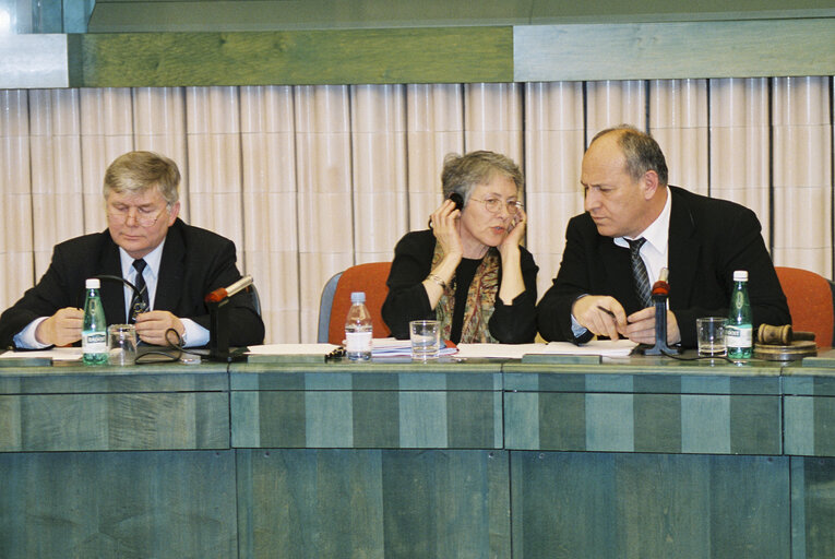 Photo 1 : Meeting in the European Parliament in Strasbourg