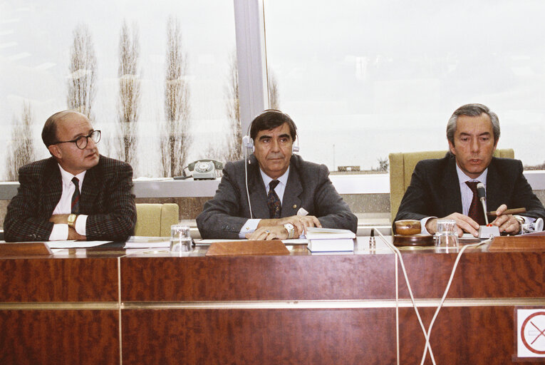 Fotografia 4: Bullfighting intergroup meeting in Strasbourg