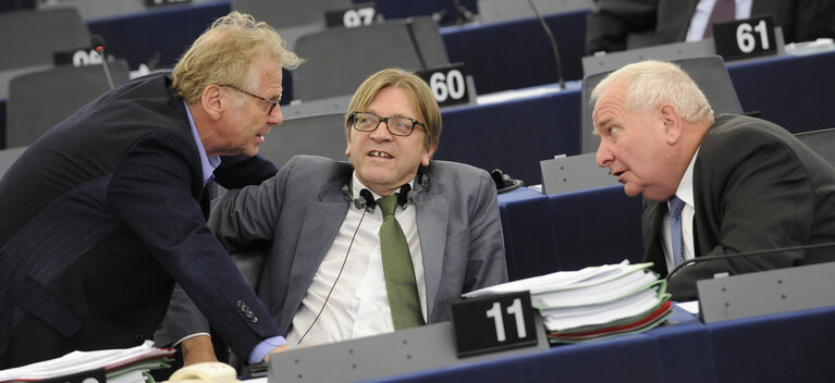 Fotografie 15: Preparations for the European Council meeting (24-25 October 2013)  Council and Commission statements during plenary session week 43 2013 in Strasbourg