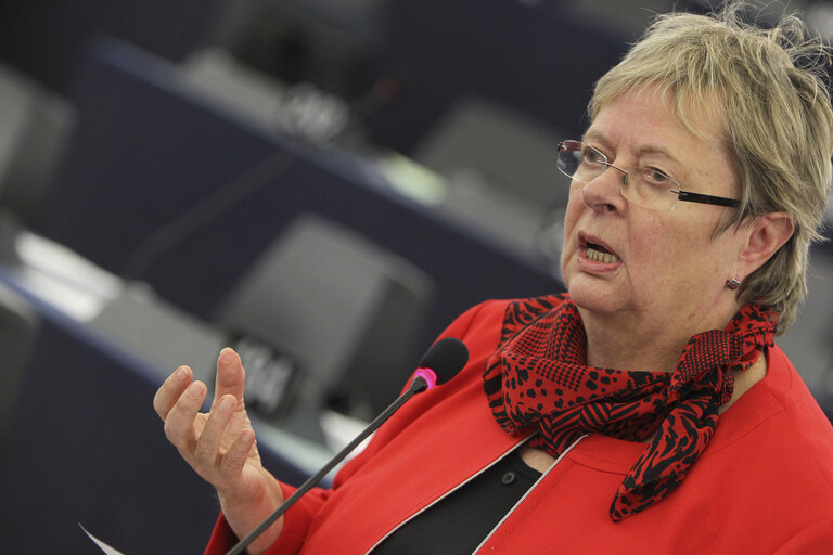 Fotografi 2: Mep during plenary session week 43 2013 in Strasbourg.