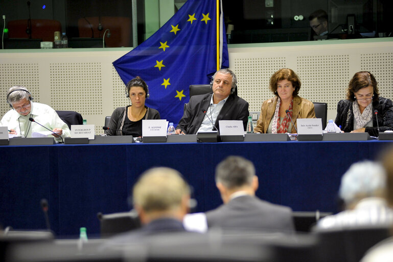 Photo 8 : Intergroup National minorities and regional languages